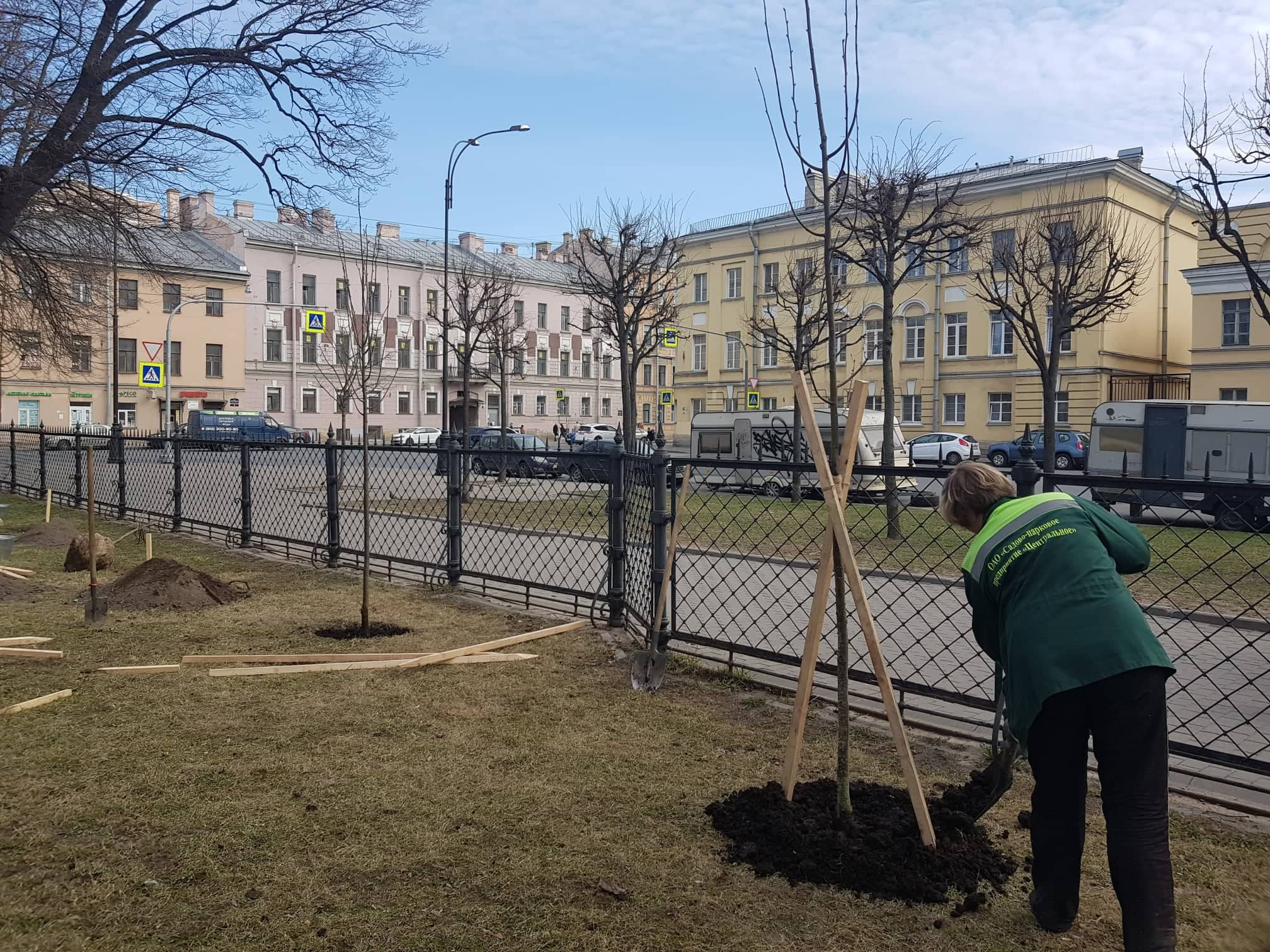 Озеленение Петербурга